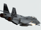 F-14  RS
